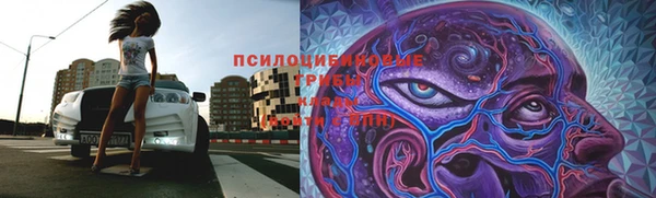 прущий лед Алексеевка