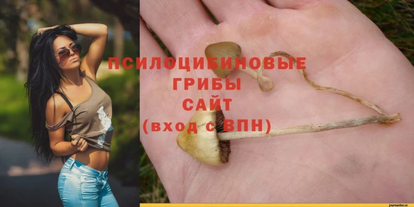 дмт Алзамай
