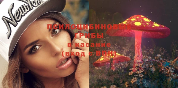 бошки Абдулино
