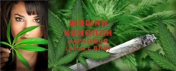 эйфоретик Покров